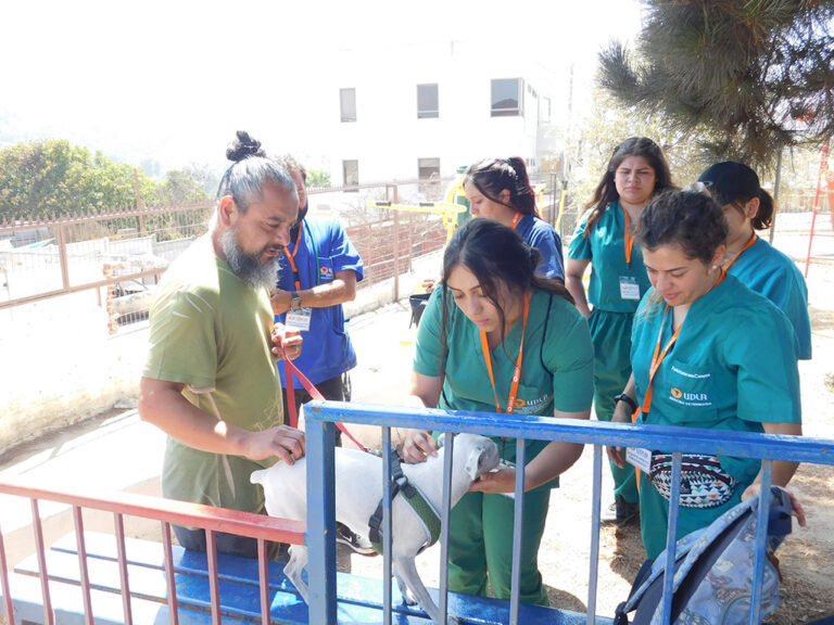 Acciones-UDLA-damnificados-incendios-region-de-valparaiso-2024-03