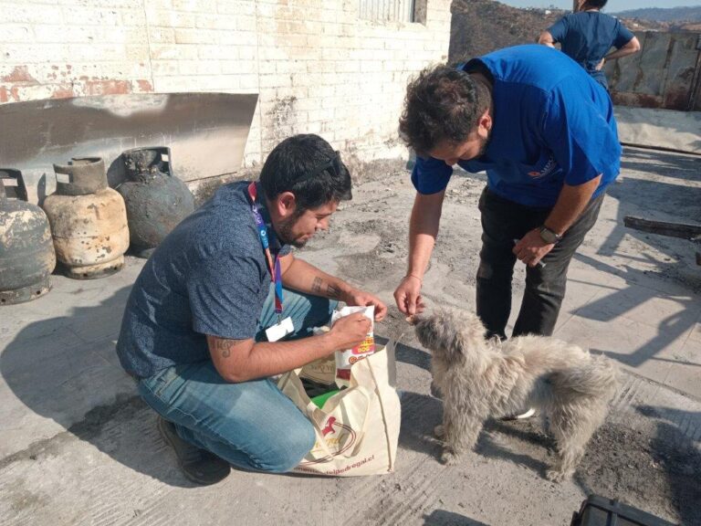 Acciones-UDLA-damnificados-incendios-region-de-valparaiso-2024-11