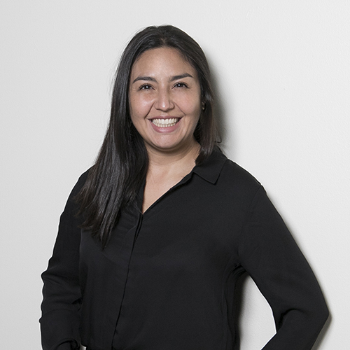 directora de carrera derecho campus santiago centro helen araya