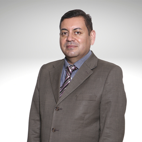 director de carrera administracion publica jorge ibarra