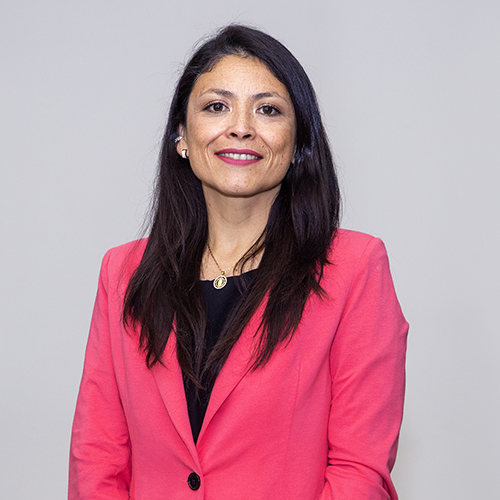 Maricela Pino A.