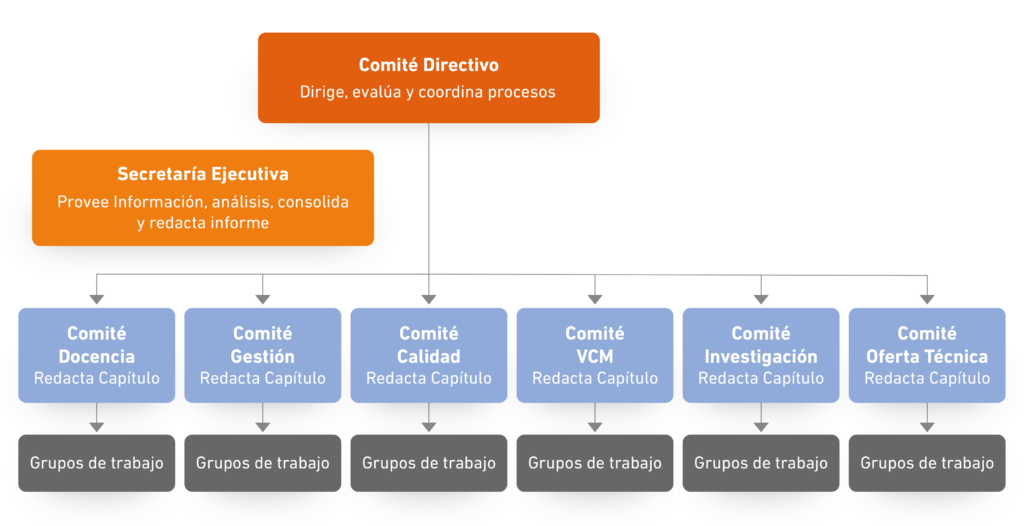 Diagrama Directiva del Comité