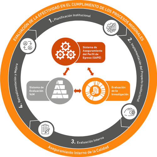 grafico efectividad funcional