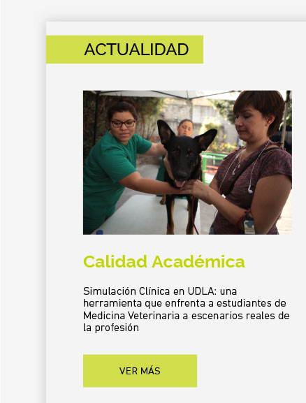 Simulación Clínica en UDLA: una herramienta que enfrenta a estudiantes de Medicina Veterinaria a escenarios reales de la profesión