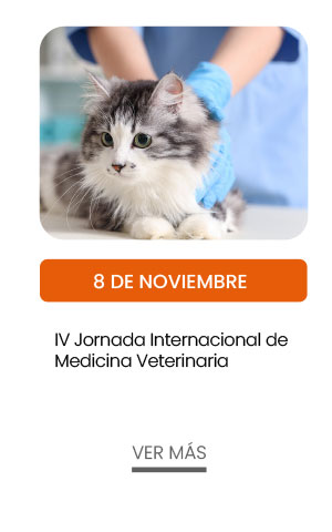 8 noviembre. IV Jornada Internacional de Medicina Veterinaria